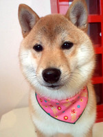 2012033015390000.jpg