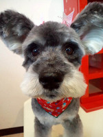 2012040116370000.jpg