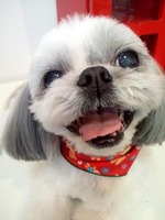 2012041015520000.jpg