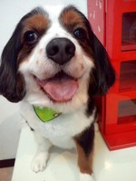 2012042116520001.jpg