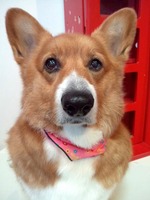 2012042216260002.jpg