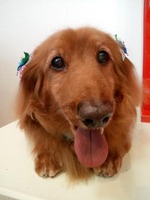 2012042312530002.jpg
