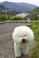 2012042913590003-2.jpg
