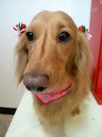 2012043012490002.jpg
