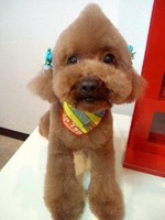 2012050416490001.jpg