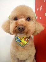 2012051315580002.jpg