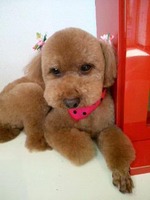 2012051714400000.jpg