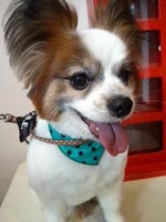 2012052717080000.jpg