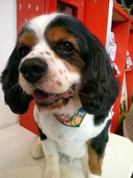 2012053116380000.jpg
