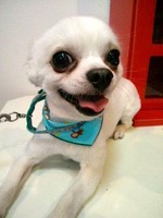 2012060514460000.jpg