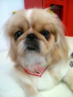 2012061014580000.jpg