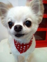 2012061214180002.jpg