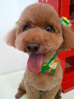 2012061515540001.jpg