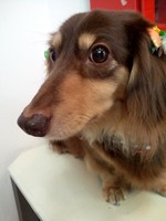 2012061813390000.jpg