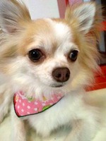 2012062315210002.jpg