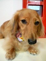 2012070611440002.jpg