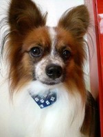 2012070915560002.jpg