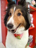 2012071513250001.jpg