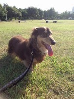 2012080307060000.jpg