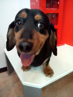 2012081117570000.jpg