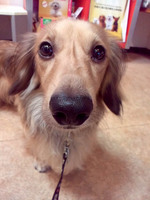 2012081317490001.jpg