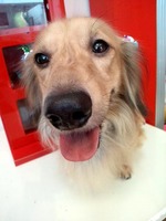2012081613370003.jpg