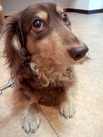 2012081816060002.jpg