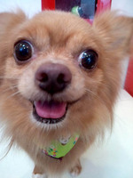 2012081912350000.jpg