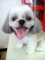 2012090212320000.jpg
