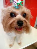 2012090413060000.jpg
