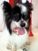 2012090611400000.jpg