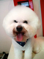 2012092015050001.jpg