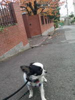 2012112415340000.jpg