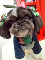 2013010615410000.jpg