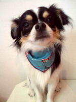 2013011811010001.jpg