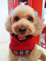 2013012715310002.jpg