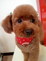 2013020213050000.jpg