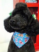 20110327 1659.jpg