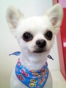 20110405 1222(1).jpg