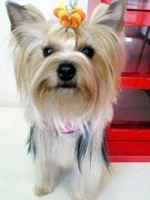 20110430 1351.jpg