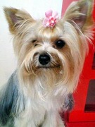 20110809 1654.jpg