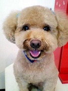 20110823 1347.jpg