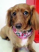 201109181431000.jpg