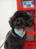 2011110511200000-2.jpg