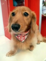 2012010711100001.jpg
