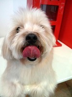 2012022614080002.jpg